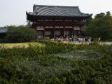 20130810-IMG 2386 : Deers, Japan, Lanterns, Nara, Shrine, Temple