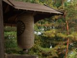 20130810-IMG 2420 : Deers, Japan, Lanterns, Nara, Shrine, Temple
