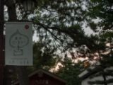 20130810-IMG 2441 : Deers, Japan, Lanterns, Nara, Shrine, Temple