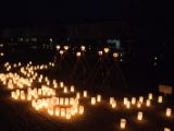 20130810-IMG 2455 : Deers, Japan, Lanterns, Nara, Shrine, Temple
