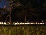 20130810-IMG 2488 : Deers, Japan, Lanterns, Nara, Shrine, Temple