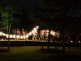 20130810-IMG 2500 : Deers, Japan, Lanterns, Nara, Shrine, Temple