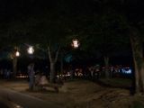 20130810-IMG 2508 : Deers, Japan, Lanterns, Nara, Shrine, Temple