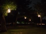 20130810-IMG 2509 : Deers, Japan, Lanterns, Nara, Shrine, Temple