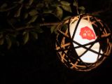 20130810-IMG 2523 : Deers, Japan, Lanterns, Nara, Shrine, Temple