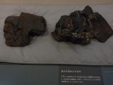 20130813-IMG 3208 : Hiroshima, Japan