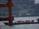 20130814-IMG 3355 : Hiroshima, Japan, Miyajima