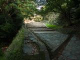 20130815-IMG 3479 : Japan, Wakayama