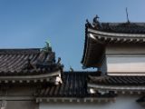 20130815-IMG 3484 : Japan, Wakayama
