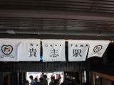 20130816-IMG 3587 : Japan, Kishi Station, Tama & Nitama Cat