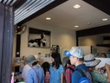 20130816-IMG 3602 : Japan, Kishi Station, Tama & Nitama Cat