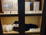 20130816-IMG 3613 : Japan, Kishi Station, Tama & Nitama Cat