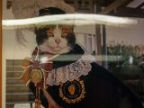 20130816-IMG 3644 : Japan, Kishi Station, Tama & Nitama Cat