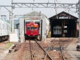 20130816-IMG 3648 : Japan, Kishi Station, Tama & Nitama Cat