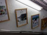 20130816-IMG 3721 : Japan, Kishi Station, Tama & Nitama Cat