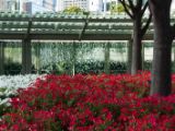20130817-IMG 3771 : Japan, Tokyo