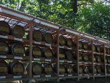 20130818-IMG 3917 : Japan, Tokyo