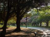 20130818-IMG 4105 : Japan, Tokyo