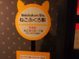 20130821-IMG 4709 : Japan, Tokyo