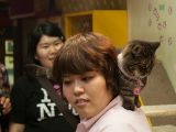 20130821-IMG 4767 : Japan, Tokyo