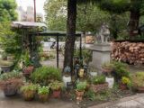 20130822-IMG 4884 : Japan, Tokyo