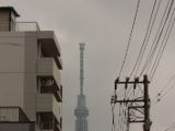 20130822-IMG 4894 : Japan, Tokyo