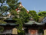 20130822-IMG 4911 : Japan, Tokyo