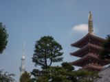 20130822-IMG 4920 : Japan, Tokyo