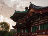 20130822-IMG 4965 : Japan, Tokyo