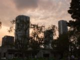 20130822-IMG 4988 : Japan, Tokyo