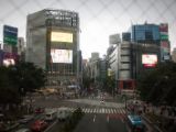 20130823-IMG 5123 : Japan, Tokyo