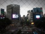 20130823-IMG 5124 : Japan, Tokyo