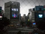 20130823-IMG 5125 : Japan, Tokyo
