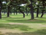 20130824-IMG 5207 : Japan, Tokyo