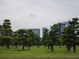 20130824-IMG 5210 : Japan, Tokyo