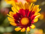 20150913-IMG 0001