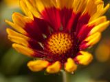 20150913-IMG 0002