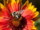 20150913-IMG 0004