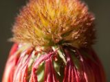 20150913-IMG 0011