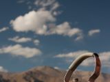 20150913-IMG 0045 : Ladakh, Leh