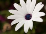 20150913-IMG 9968