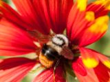 20150913-IMG 9969