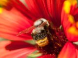 20150913-IMG 9980