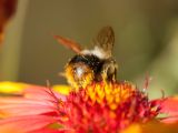 20150913-IMG 9994