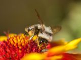 20150913-IMG 9996