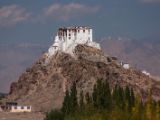 20150914-IMG 0253 : Ladakh, Shey, Tikhe