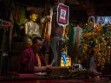 20150914-IMG 0293 : Ladakh, Shey, Tikhe