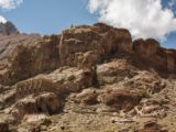 20150914-IMG 0334 : Ladakh, Shey, Tikhe