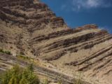 20150914-IMG 0412 : Ladakh, Shey, Tikhe