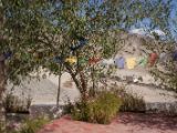 20150914-IMG 0435 : Ladakh, Shey, Tikhe